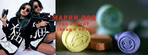 ECSTASY Алзамай