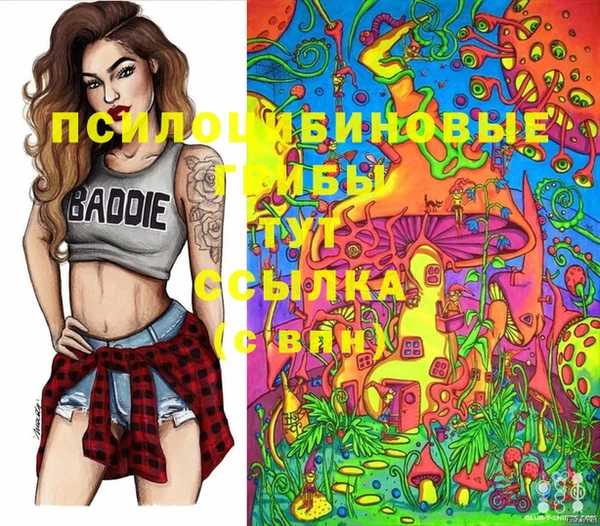 прущий лед Алексин