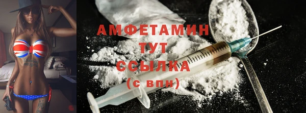 ECSTASY Алзамай