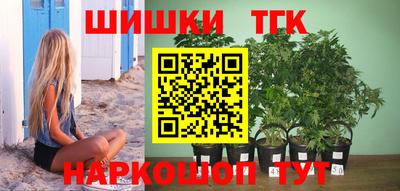 стаф Севастополь