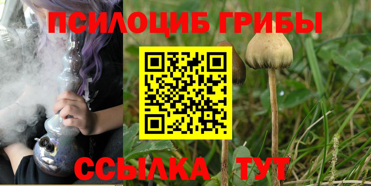 Галлюциногенные грибы MAGIC MUSHROOMS Протвино