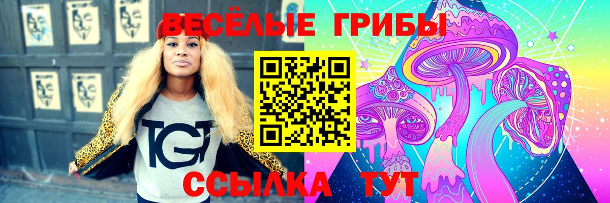 Протвино  Галлюциногенные грибы мухоморы  Вход с VPN 